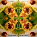 234 Autumn - 3-ply - Paper Design